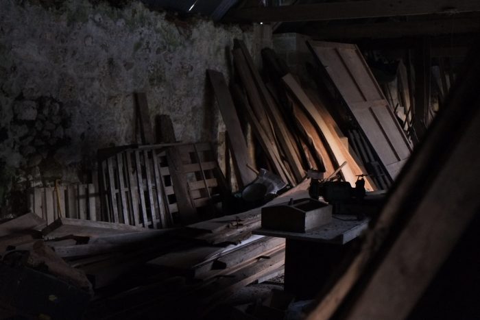 Timber in Halflight (April 2017)