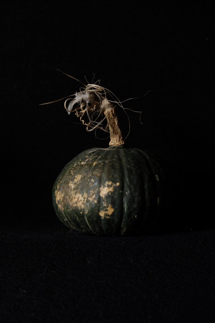 Pumpkin on black (October 2017)