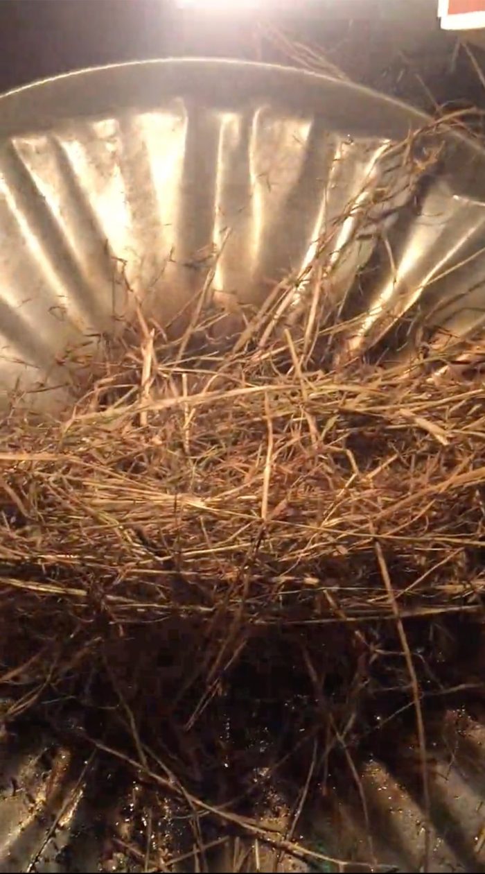 Burning Hay