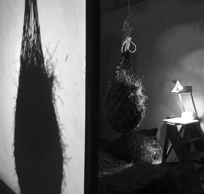 The shadow of a hay net (January 2017)