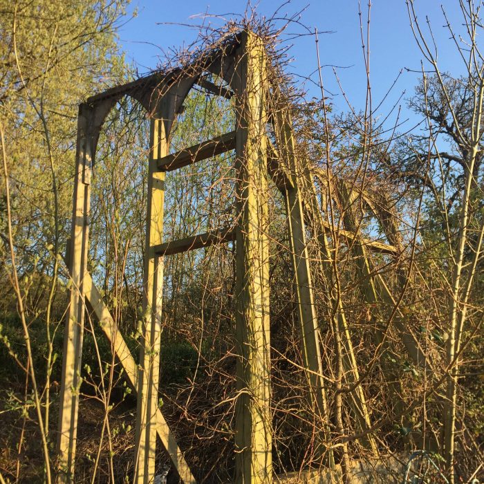 (Somerset, April 2019)