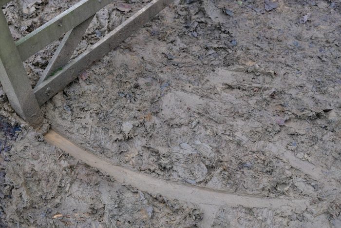 Mud.  Marks.