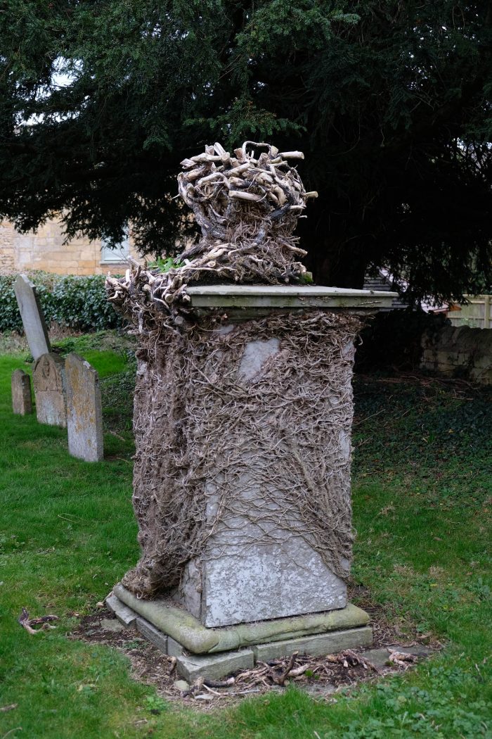Cemetry Roots.