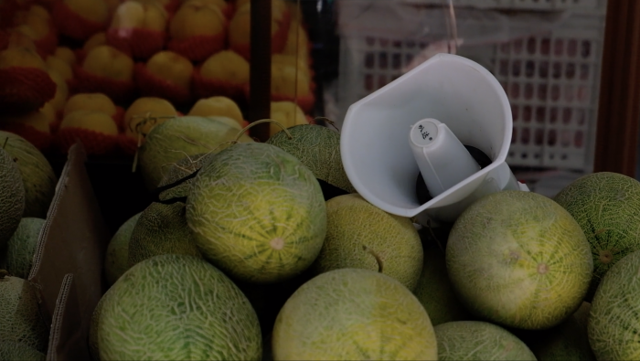 Melons. Amplified.  (Hangzhou – August, 2019)