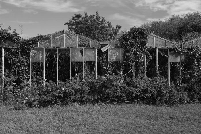 Glass.  Houses.  (July, 2014)