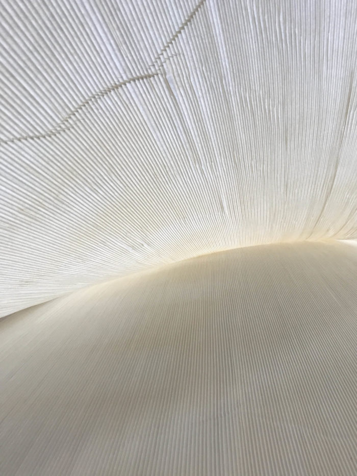 Paper.  Pleats.