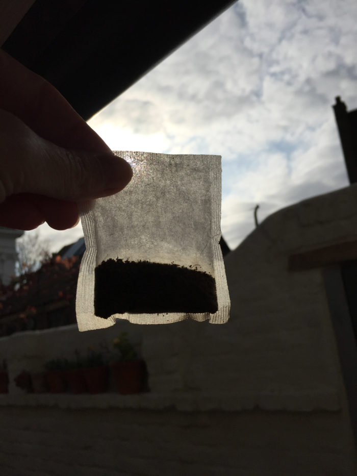 Tea. Silhouette.