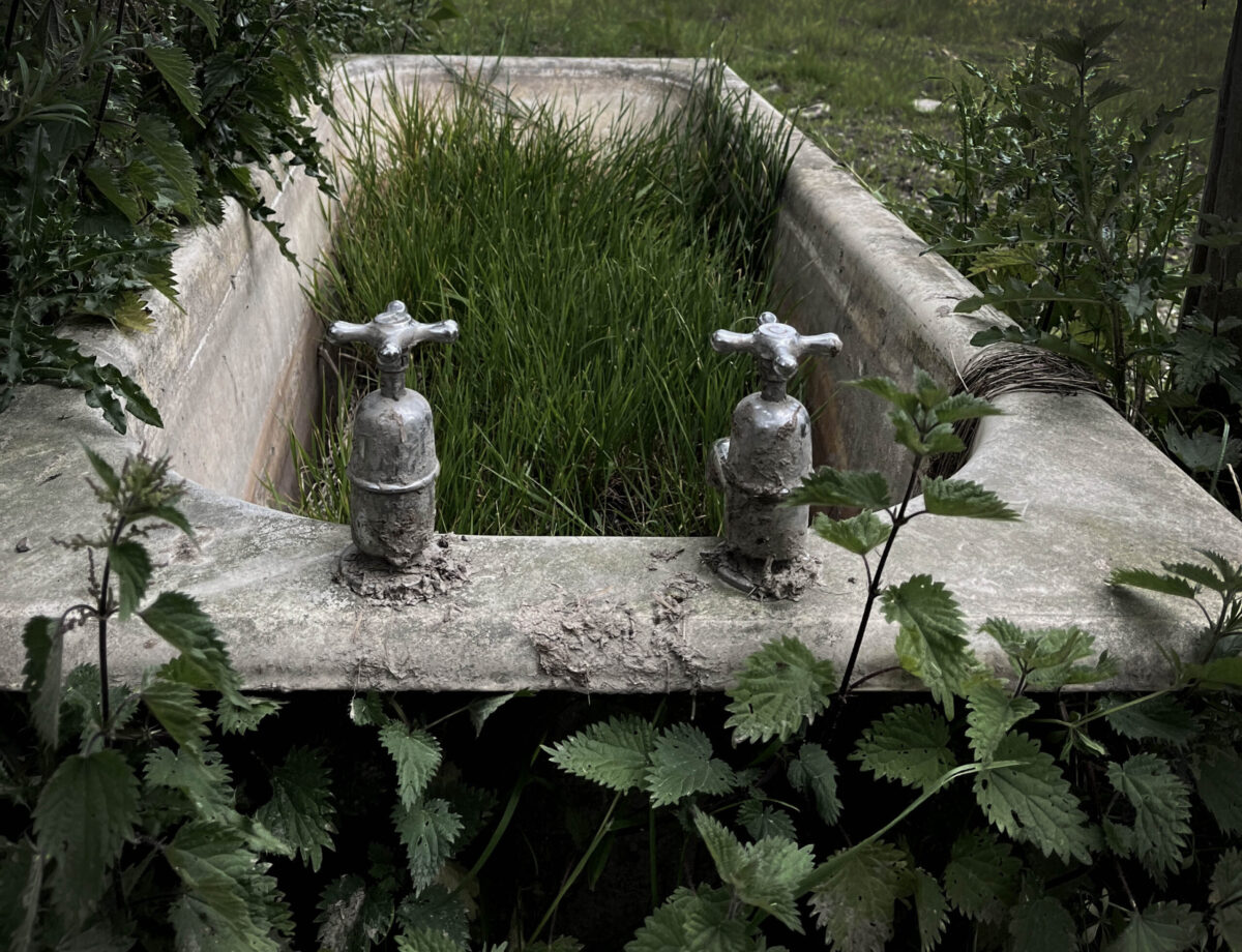 IMG_3569_Grass Bathtub